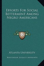Efforts for Social Betterment Among Negro Americans