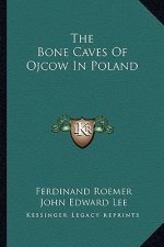 The Bone Caves Of Ojcow In Poland