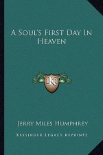 A Soul's First Day in Heaven
