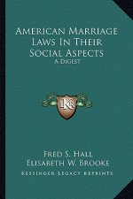 American Marriage Laws in Their Social Aspects: A Digest