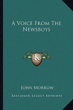 A Voice from the Newsboys