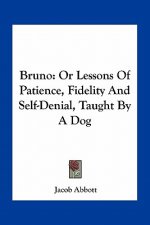 Bruno: Or Lessons of Patience, Fidelity and Self-Denial, Taught by a Dog