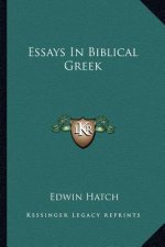 Essays in Biblical Greek