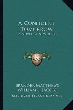 A Confident Tomorrow: A Novel of New York