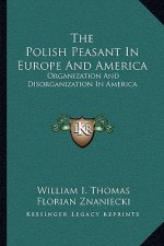 The Polish Peasant in Europe and America: Organization and Disorganization in America