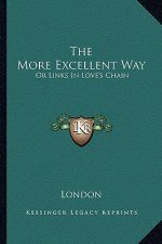 The More Excellent Way: Or Links in Love's Chain