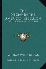 The Negro in the American Rebellion: His Heroism and His Fidelity