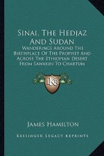 Sinai, the Hedjaz and Sudan: Wanderings Around the Birthplace of the Prophet and Across the Ethiopian Desert from Sawakin to Chartum