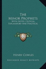 The Minor Prophets: With Notes, Critical, Explanatory and Practical