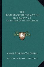 The Protestant Reformation In France V1: Or History Of The Huguenots