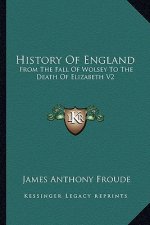 History Of England: From The Fall Of Wolsey To The Death Of Elizabeth V2: Reign Of Elizabeth
