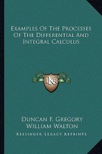 Examples of the Processes of the Differential and Integral Calculus