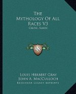 The Mythology of All Races V3: Celtic, Slavic