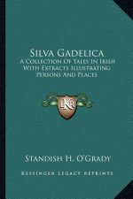 Silva Gadelica: A Collection of Tales in Irish with Extracts Illustrating Persons and Places
