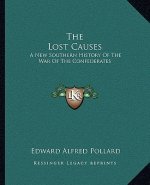 The Lost Causes: A New Southern History of the War of the Confederates
