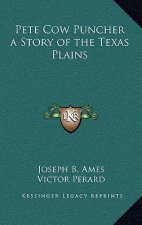Pete Cow Puncher a Story of the Texas Plains