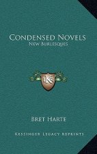 Condensed Novels: New Burlesques