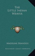 The Little Indian Weaver