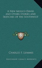 A New Mexico David and Other Stories and Sketches of the Southwest