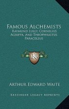Famous Alchemists: Raymund Lully, Cornelius Agrippa, and Theophrastus Paracelsus