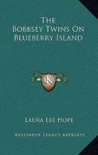The Bobbsey Twins on Blueberry Island