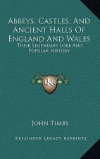 Abbeys, Castles, And Ancient Halls Of England And Wales: Their Legendary Lore And Popular History