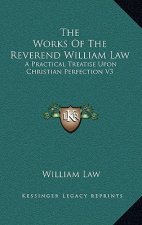 The Works of the Reverend William Law: A Practical Treatise Upon Christian Perfection V3