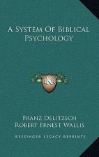 A System of Biblical Psychology