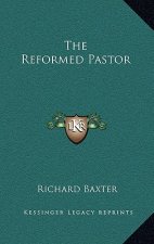 The Reformed Pastor