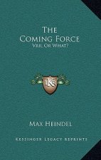 The Coming Force: Vril or What?: Rosicrucian Christianity Lecture 19