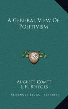 A General View of Positivism