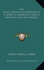 The True Christian Exemplified in a Series of Addresses from a Pastor to His Own People