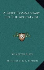 A Brief Commentary on the Apocalypse