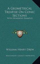 A Geometrical Treatise on Conic Sections: With Numerous Examples