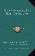 Fled Bricrend, the Feast of Bricriu