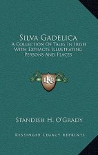 Silva Gadelica: A Collection of Tales in Irish with Extracts Illustrating Persons and Places