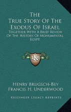The True Story Of The Exodus Of Israel: Together With A Brief Review Of The History Of Monumental Egypt