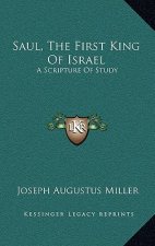 Saul, the First King of Israel: A Scripture of Study