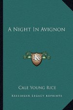 A Night in Avignon