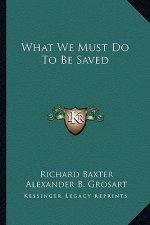 What We Must Do to Be Saved