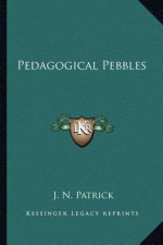 Pedagogical Pebbles