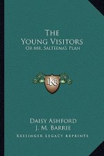 The Young Visitors: Or Mr. Salteena's Plan