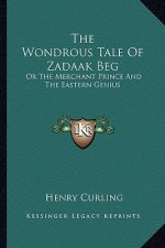 The Wondrous Tale of Zadaak Beg: Or the Merchant Prince and the Eastern Genius