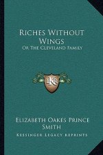 Riches Without Wings: Or the Cleveland Family