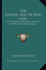 The Nether Side of New York: Or the Vice, Crime and Poverty of the Great Metropolis
