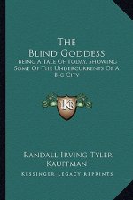 The Blind Goddess: Being a Tale of Today, Showing Some of the Undercurrents of a Big City