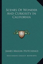 Scenes of Wonder and Curiosity in California