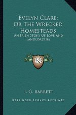 Evelyn Clare; Or The Wrecked Homesteads: An Irish Story Of Love And Landlordism