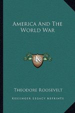 America and the World War
