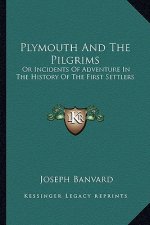 Plymouth And The Pilgrims: Or Incidents Of Adventure In The History Of The First Settlers